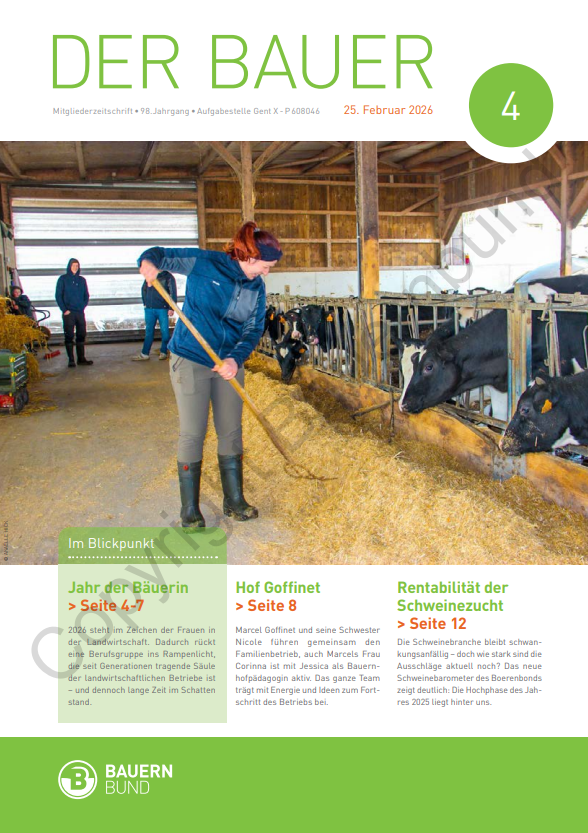 dB2604_cover