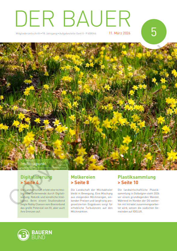 dB2605_cover