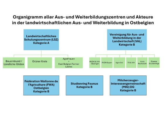 DB2615Q04-09_Organigramm der Zentren_Vereinfacht