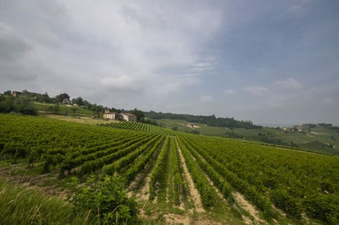 Agriturismo le Piaggie a Ponzone - MOnferrato-Piemonte